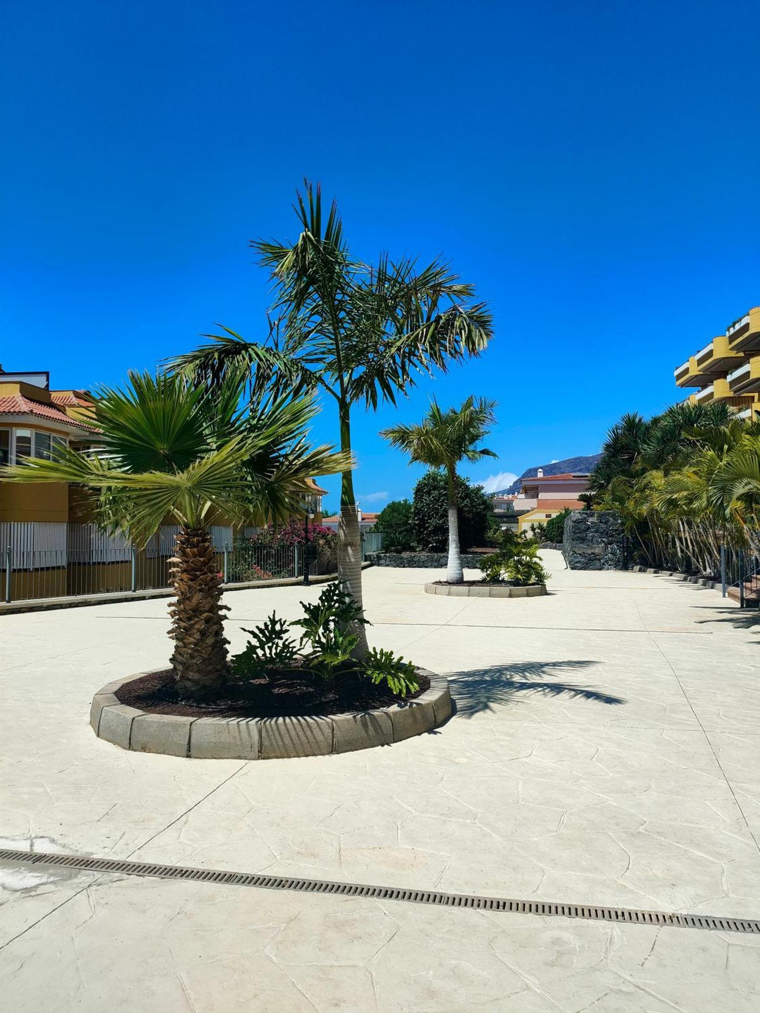 Belvedere Penthouse Puerto de Santiago  Exteriér fotografie
